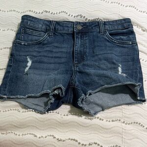 Distressed Denim Shorts Midrise frayed